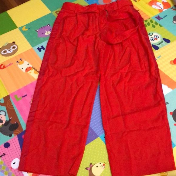 J. Crew Teddie pants